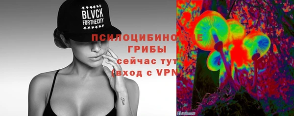 PSILOCYBIN Новозыбков