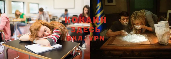 стафф Новодвинск