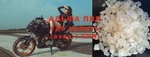 стафф Новодвинск